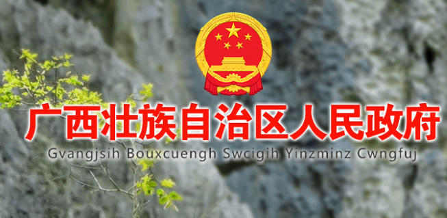 广西政务服务平台：http://zwfw.gxzf.gov.cn/