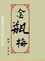 金瓶梅txt小说下载-金梅瓶txt全集电子书下载