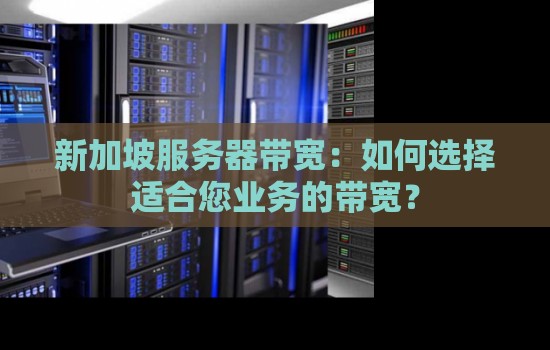 新加坡服务器带宽怎么样：如何选择适合您业务的带宽？