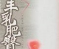 丰乳肥臀TXT下载-丰乳肥臀TXT电子书下载