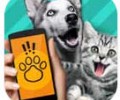 Pet Translator宠物对话翻译器下载-Pet Translator动物语言翻译器下载